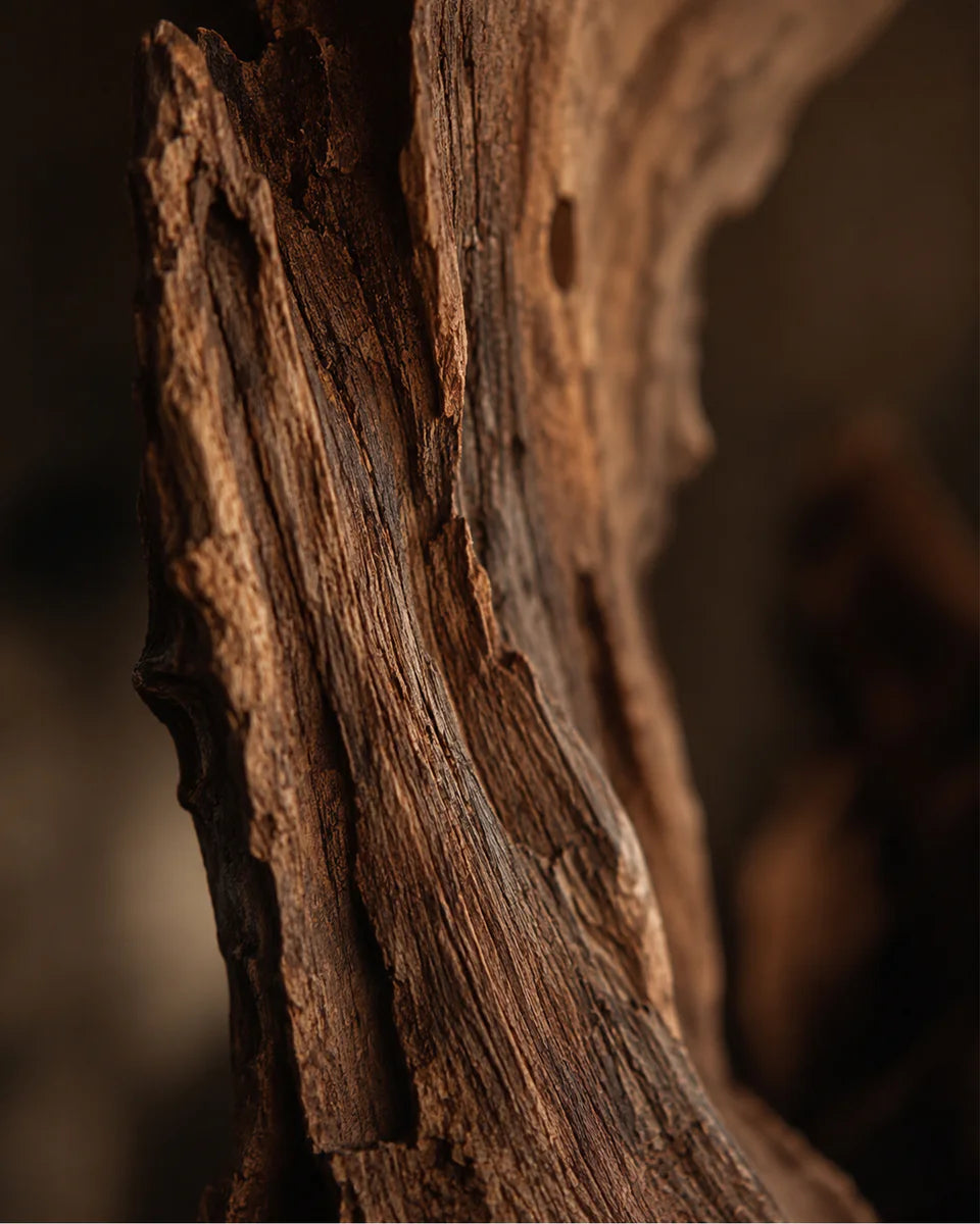 Sandalwood No. 26 fragrance mood inspiration; not an ingredient list
